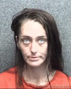 Mugshot of KAREN BRITTANY BARRINEAU booked in Horry County, South Carolina on July 6, 2026