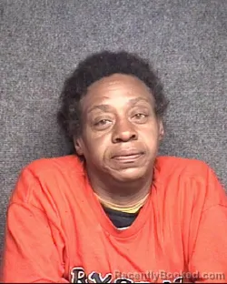 Mugshot of Krystal Monique Brown booked in Horry County, South Carolina on August 13, 2026