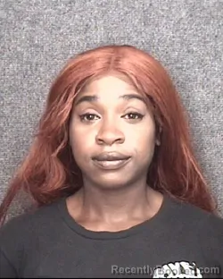 Mugshot of Kylie Nicole Jenkins booked in Horry County, South Carolina on August 8, 2026