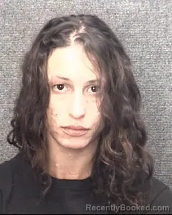 Mugshot of KRYSTAL RAVEN JAWORSKI booked in Horry County, South Carolina on April 3, 2026