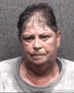 Mugshot of KIMBERLY ANN TODD booked in Horry County, South Carolina on May 27, 2026