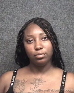 Mugshot of LAURA ANTANETTE BLACK booked in Horry County, South Carolina on July 5, 2026