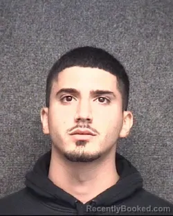 Mugshot of Liroy Mizrahi booked in Horry County, South Carolina on September 28, 2026