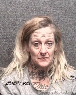Mugshot of LINDA KATHLEEN NOE