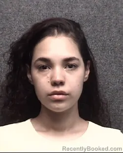 Mugshot of LESLIAN SANTANA booked in Horry County, South Carolina on March 31, 2026