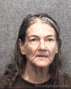 Mugshot of Marilyn Joyce Burgraff booked in Horry County, South Carolina on October 11, 2026