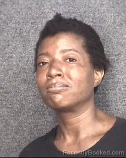 Mugshot of Michelle M Mitchell booked in Horry County, South Carolina on August 9, 2026
