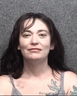 Mugshot of MANDI NICOLE MEADOWS booked in Horry County, South Carolina on July 5, 2026