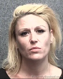 Mugshot of MARY ELIZABETH SELLERS booked in Horry County, South Carolina on April 22, 2026
