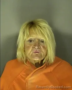 Booking photo from Horry County, South Carolina