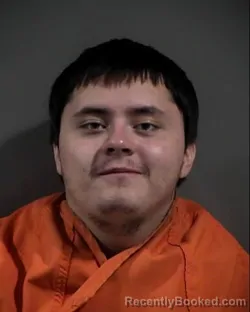 Mugshot of JACKSON LEON JONES