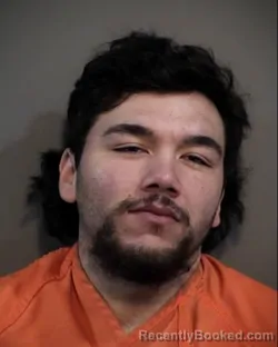 Mugshot of NICOLAS DOMINICK CECCHINI