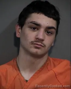 Mugshot of SULLIVAN CAILLOU YOCUM booked in Horry County, South Carolina on March 6, 2026