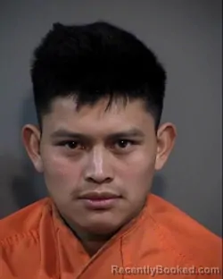 Mugshot of ELMER LOPEZ VAZQUEZ booked in Horry County, South Carolina on March 7, 2026