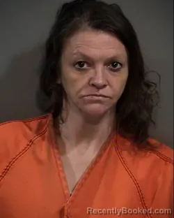 Mugshot of JENNIFER RACHEL MCALLISTER booked in Horry County, South Carolina on March 29, 2026