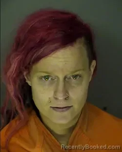 Mugshot of DAWN KIMBERLY STEVENS booked in Horry County, South Carolina on April 1, 2026