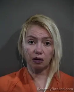 Mugshot of ALICIA DAWN WILCOX booked in Horry County, South Carolina on April 1, 2026