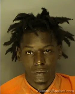 Booking photo from Horry County, South Carolina