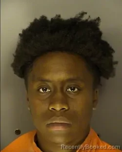 Mugshot of RONEISHA ZYKEERAH GREEN booked in Horry County, South Carolina on July 1, 2026