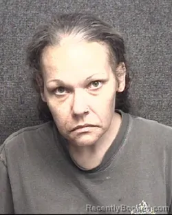 Mugshot of Natalie Nicole Novack booked in Horry County, South Carolina on October 18, 2026
