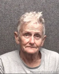 Mugshot of PAMELA JEAN BRACKEN