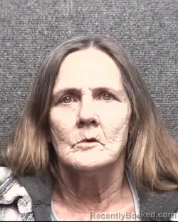 Mugshot of PATRICIA DUKE JOHNSON booked in Horry County, South Carolina on March 6, 2026