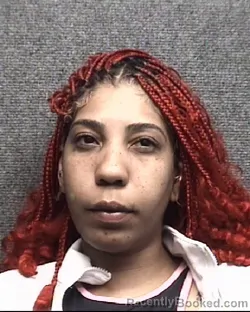 Mugshot of PAMELA CRISTAL SAVINON VALDEZ booked in Horry County, South Carolina on March 25, 2026