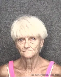 Mugshot of Robin Jeanette Floyd booked in Horry County, South Carolina on July 29, 2026