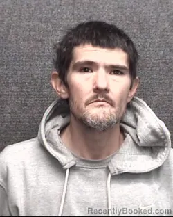 Mugshot of RYAN JAMES LILLEMOEN