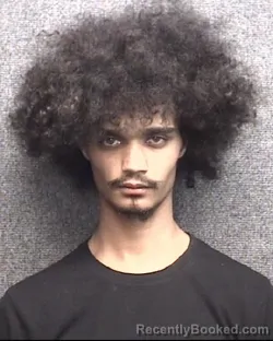 Mugshot of RIAN CARNELL RHEMS