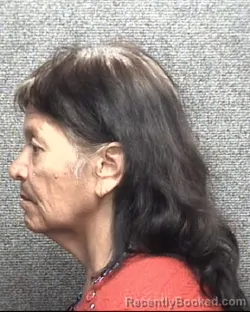 Mugshot of SARAH ANN GARCIA ANDERSON booked in Horry County, South Carolina on May 17, 2026