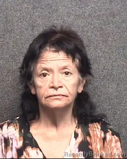 Mugshot of Sarah Ann Anderson booked in Horry County, South Carolina on October 16, 2026