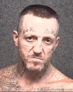 Mugshot of SHANE COLLINS HARRIS booked in Horry County, South Carolina on July 3, 2026
