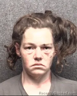 Mugshot of SAMMANTHA DANYELLE HUDSON booked in Horry County, South Carolina on March 31, 2026