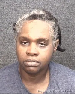 Mugshot of STEPHANIE ELAINE JOHNSON booked in Horry County, South Carolina on June 6, 2026