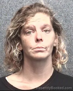 Mugshot of STEPHANIE ANNIE PERRY booked in Horry County, South Carolina on May 7, 2026