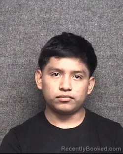 Mugshot of Sergio Danilo Ramoz Carranza booked in Horry County, South Carolina on October 12, 2026