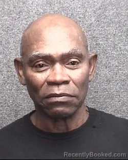 Mugshot of STEVE SALMON