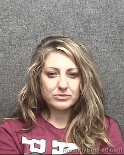 Mugshot of SHARON LEE VOLLMER