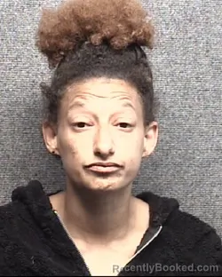 Mugshot of TANISHA DIANNE BLADES booked in Horry County, South Carolina on May 8, 2026