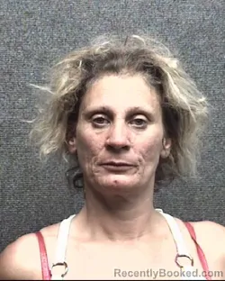 Mugshot of TAMMY ANN FERREE booked in Horry County, South Carolina on March 27, 2026