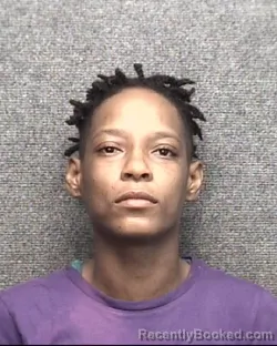Mugshot of Tasheka Denyse King booked in Horry County, South Carolina on October 2, 2026