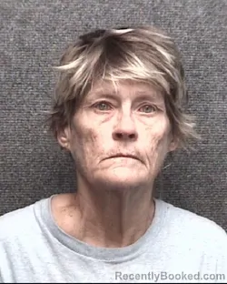 Mugshot of Tina Mcguirt Kelley booked in Horry County, South Carolina on October 11, 2026