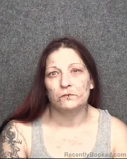Mugshot of TAMMY LIZABETH LITTRELL booked in Horry County, South Carolina on May 7, 2026