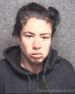 Mugshot of VIRGINIA SAAVEDRA