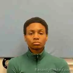 Mugshot of BRIANNA JENKINS