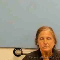 Mugshot of AMANDA KAROW