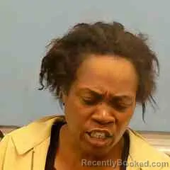 Mugshot of NATASHA JOHNSON booked in St Francis County, Arkansas on April 25, 2026