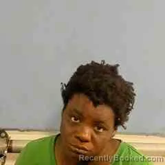 Mugshot of Vanessa Kelly booked in St Francis County, Arkansas on August 15, 2026