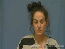 Mugshot of KAYLEE ALLEN booked in Saline County, Arkansas on March 24, 2026